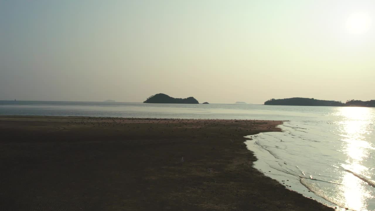 飞过黄海的海鸥/韩国忠南泰安郡视频素材