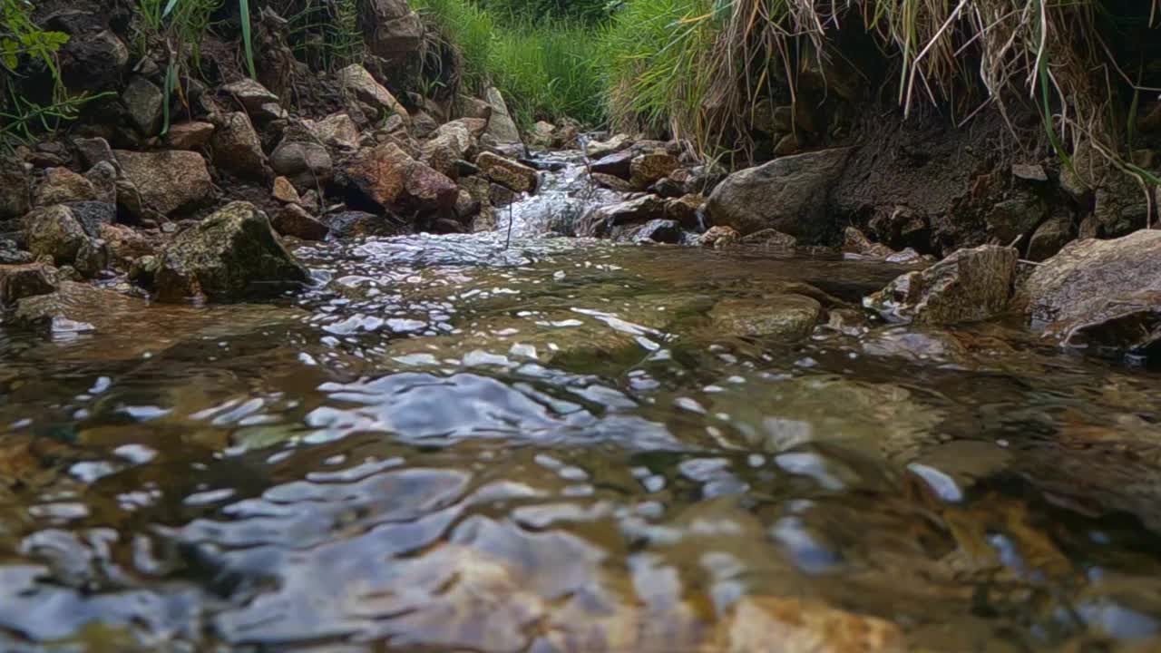 实时野山河流水流流过岩石。特写镜头视频素材