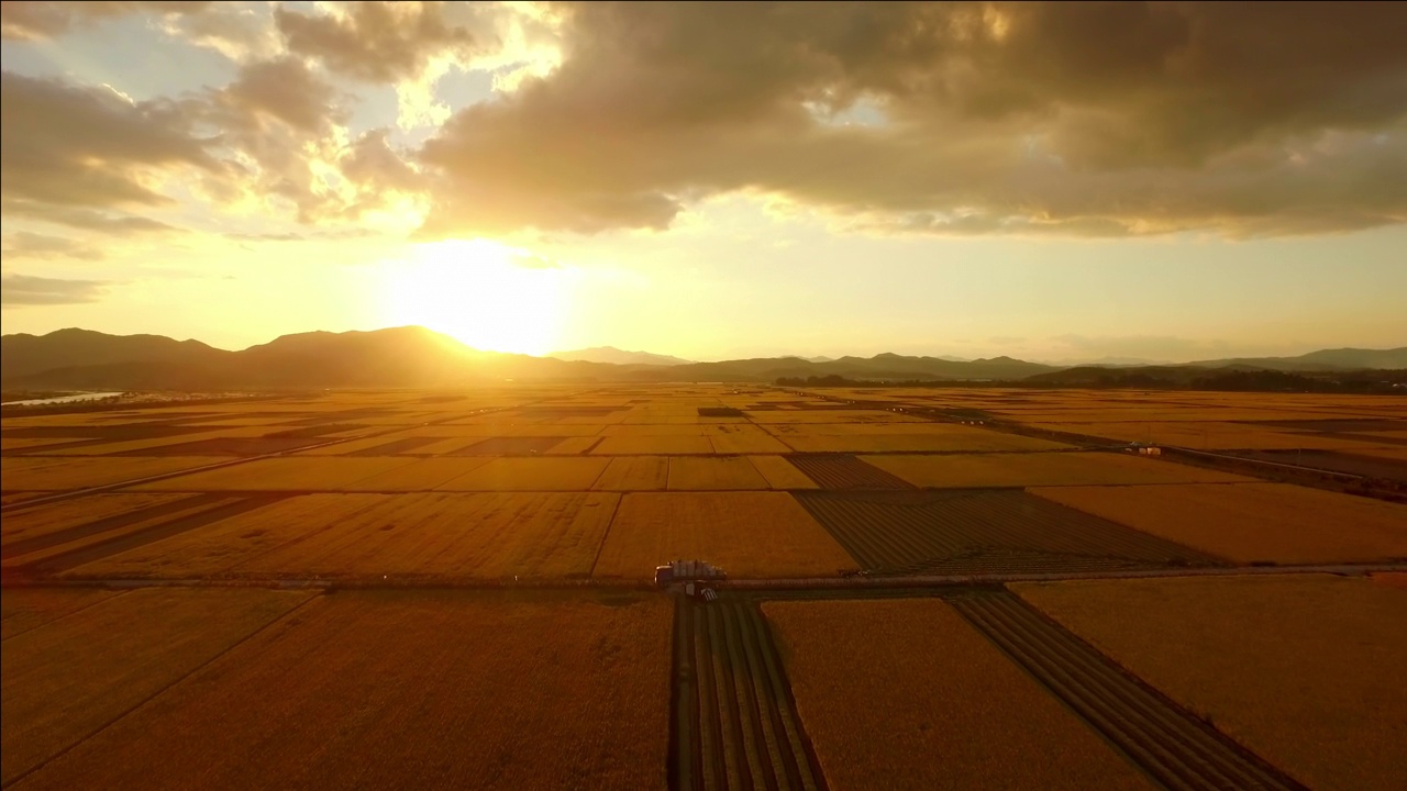 日出的田野/韩国视频素材