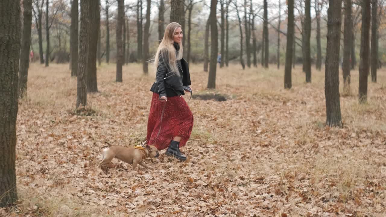 年轻漂亮的女人和她的狗在森林或公园里跑步。有趣的法国斗牛犬。家养纯种狗在秋天的黄色森林里散步。慢镜头视频素材