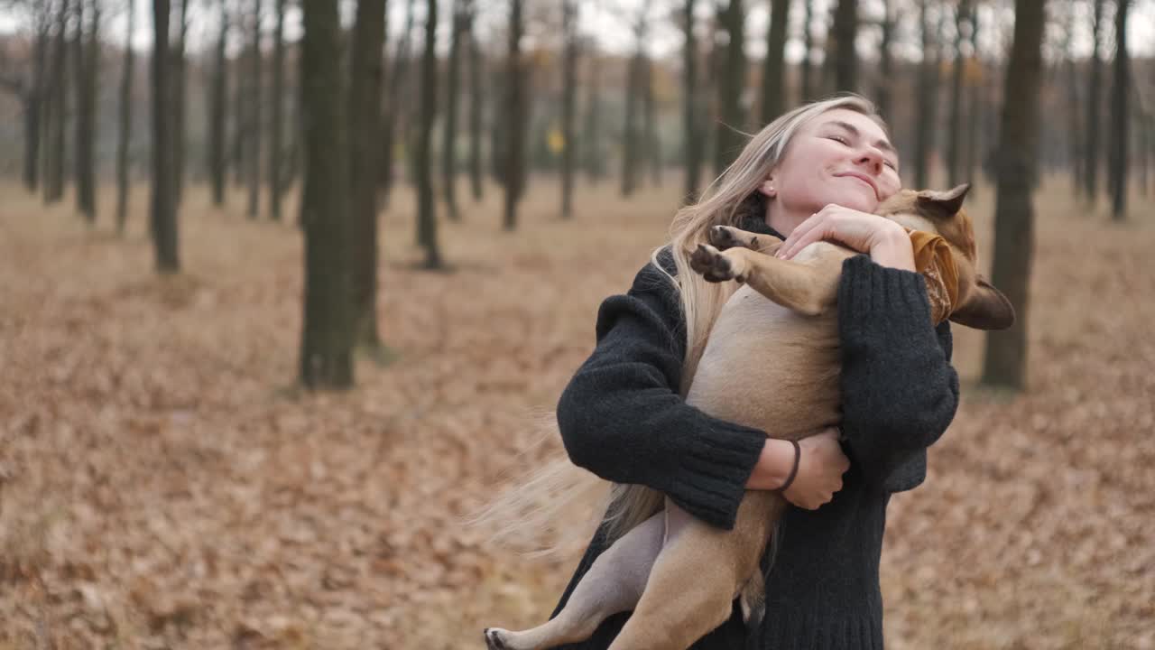 年轻漂亮的女人抱着她的狗在森林或公园散步。有趣的法国斗牛犬。家养纯种狗在秋天的黄色森林里散步。慢动作视频素材