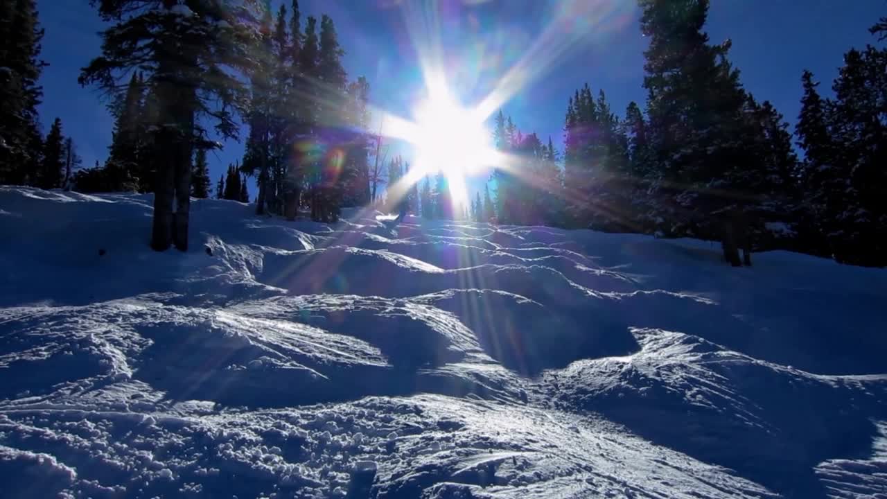 专家成熟女性大亨滑雪视频，背光由一个辉煌的低角度太阳。视频素材