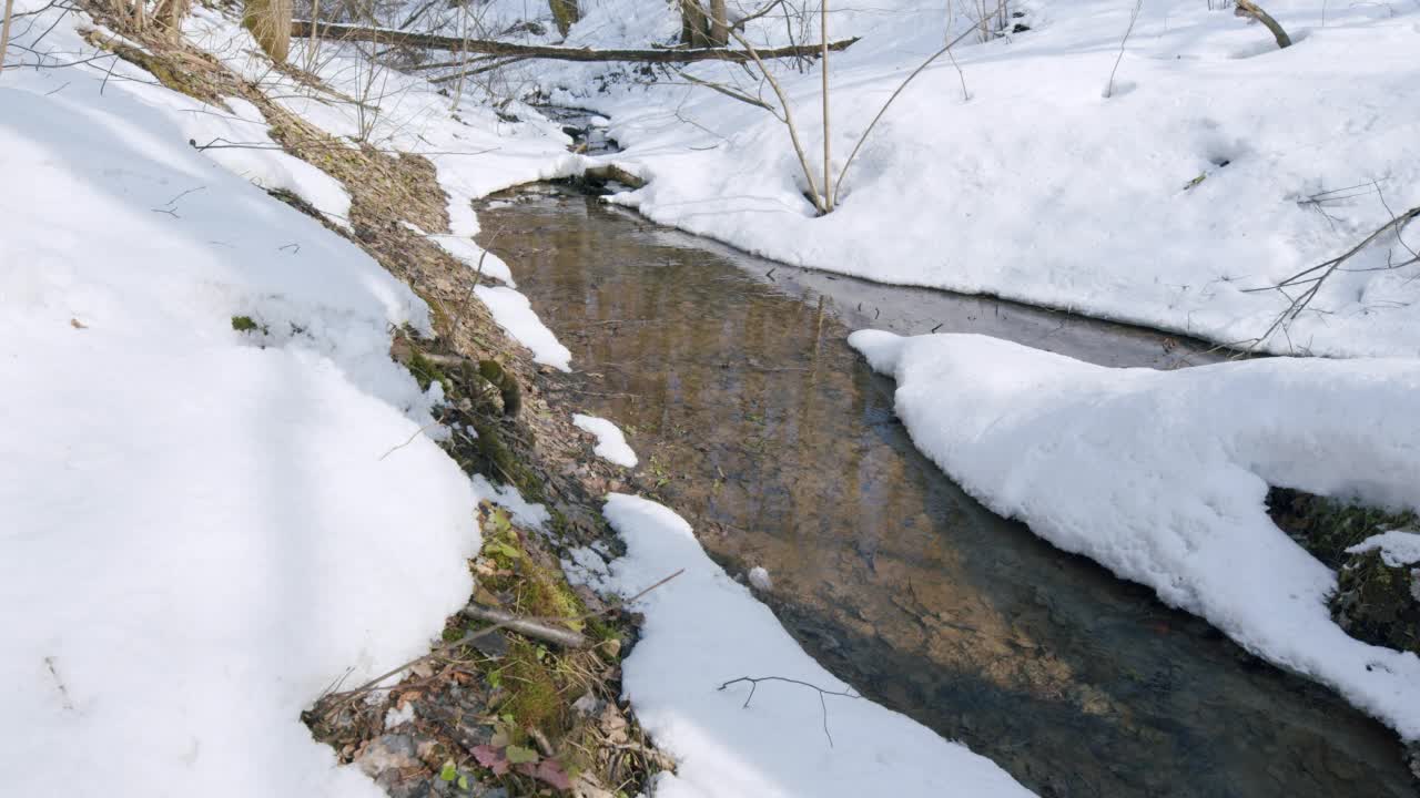 小溪在春天的森林里流淌。小溪岸边的白雪。视频素材