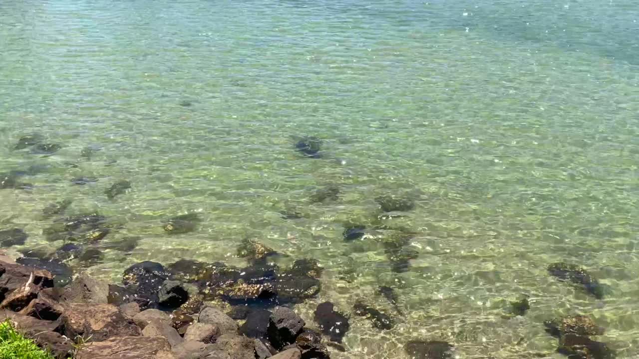 海岸线河景视频素材