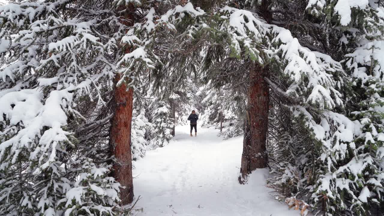 一个人在雪道上向两棵树中间走去视频素材