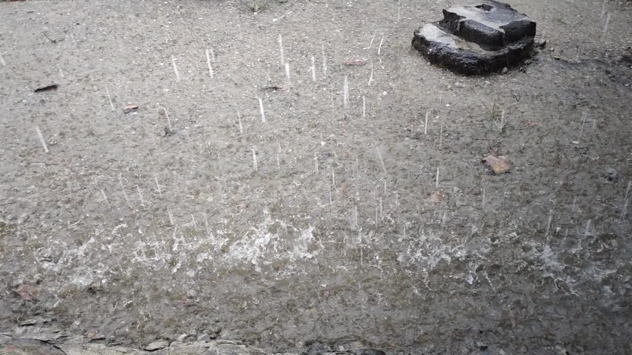 慢动作的大雨视频下载