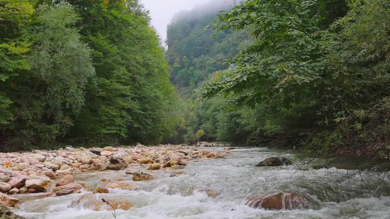 美丽的风景，流动的山河流过岩石在森林中间，山脉在雾霾的背景。包括声音。视频下载