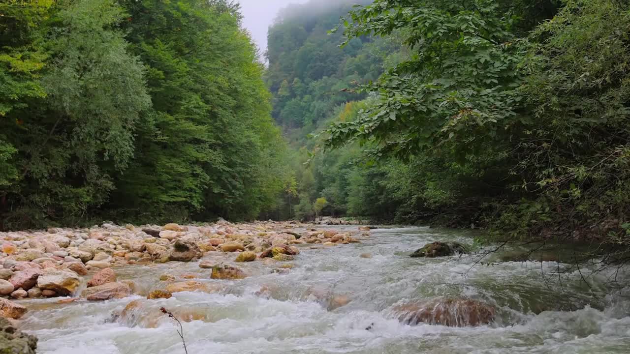 美丽的风景，流动的山河流过岩石在森林中间，山脉在雾霾的背景。包括声音。视频下载