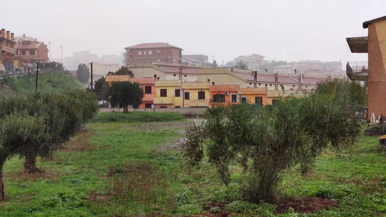 大雨下的房屋和绿树。下午大雨倾盆，拍得不错。城市环境视频素材