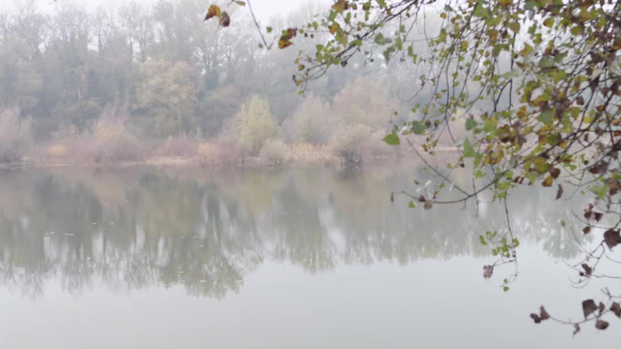 雾蒙蒙的秋日，湖边的景色，前景是树枝和树叶视频素材