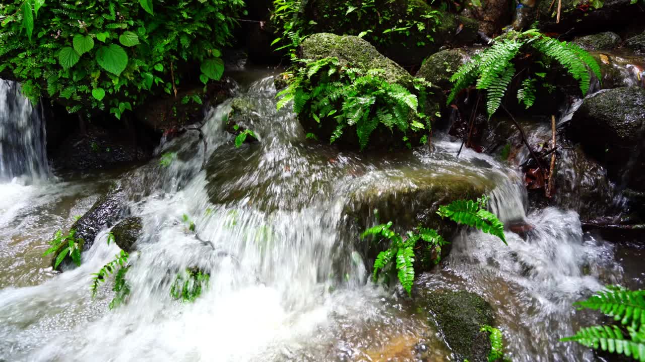 小瀑布河，清澈的水，晨光自然背景视频素材