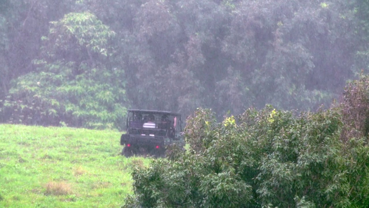 慢镜头的全地形车辆在雨中穿过草地-火奴鲁鲁，夏威夷视频素材