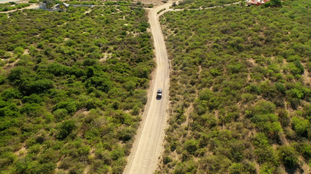 空中拍摄的汽车移动在绿色植物的道路上，无人机在阳光灿烂的日子向下飞行-下加利福尼亚，墨西哥视频素材