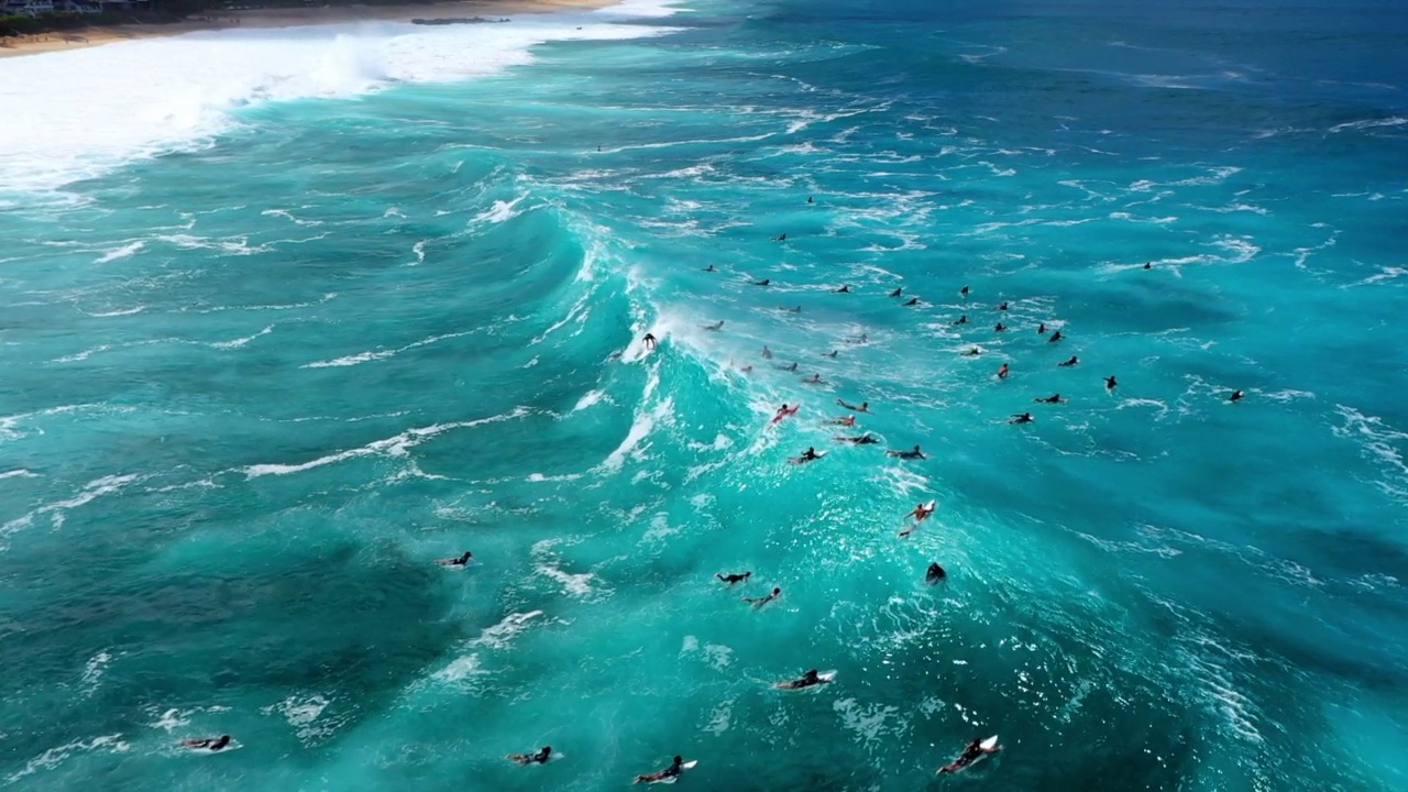 空中拍摄的冲浪者游泳与冲浪板在海上的海滩-怀基基，夏威夷视频素材