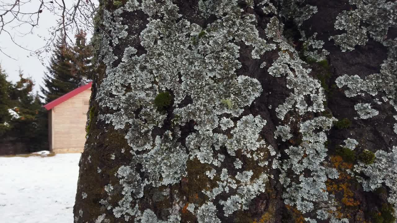 冬天雪山上的木屋积了很多雪视频素材