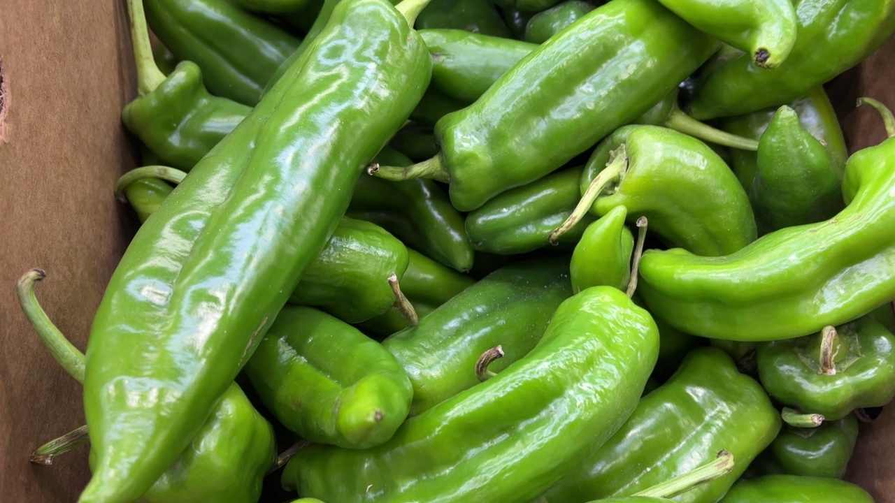 Organic Jalapeño Peppers for sale视频素材