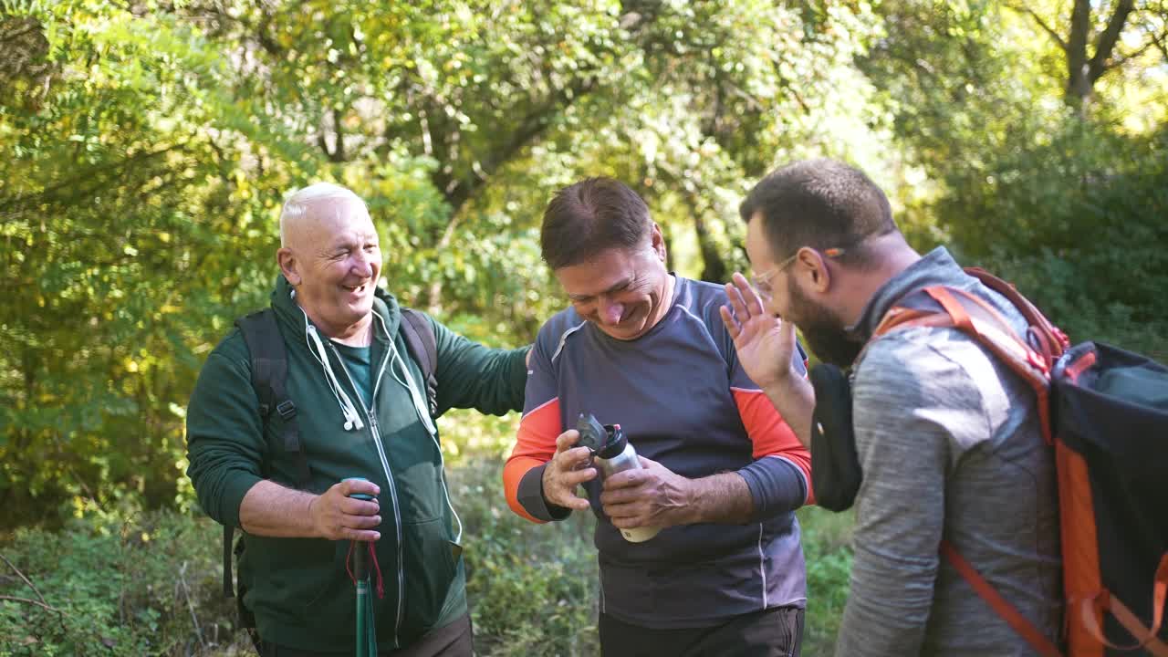 年长的男性徒步旅行者在休息时与大胡子男性谈论徒步路线视频素材