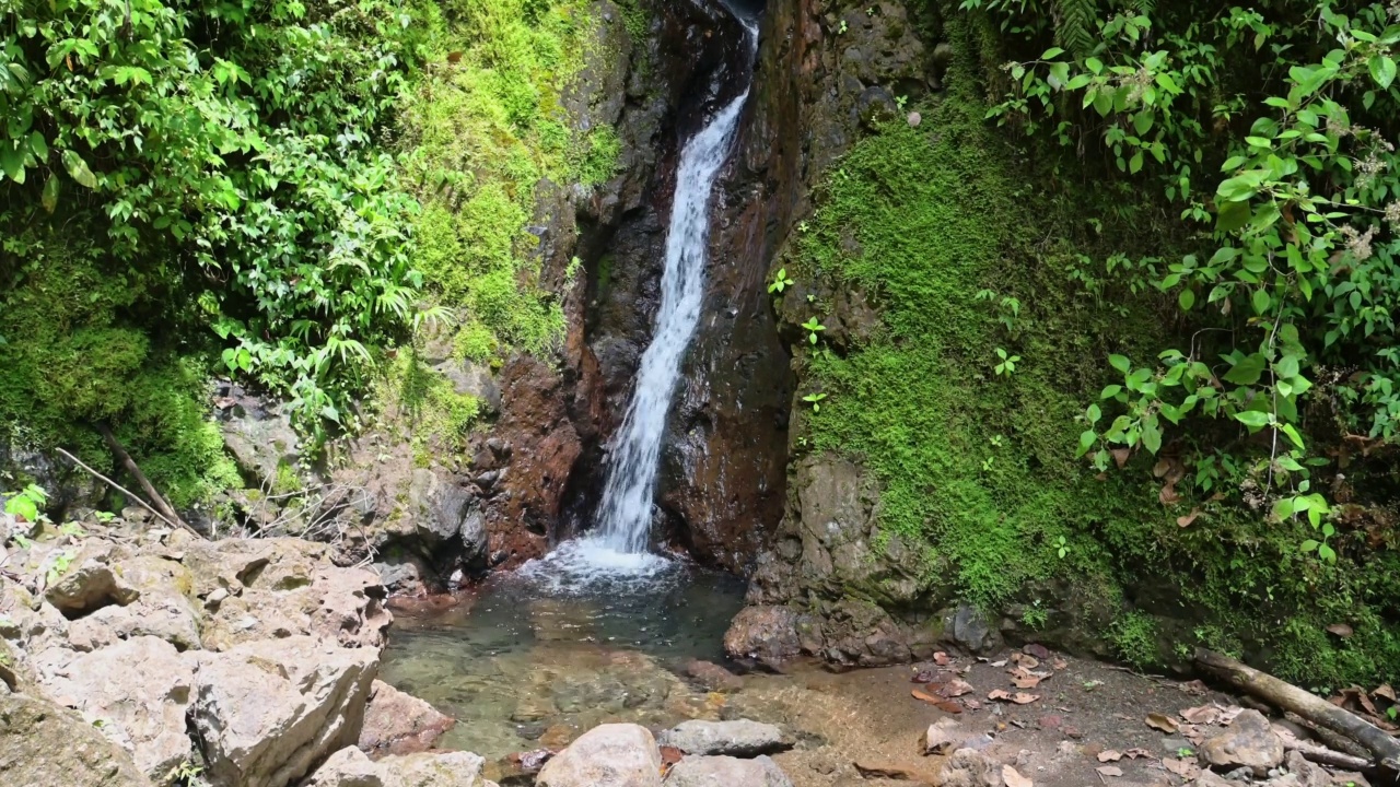 中美洲阿雷纳尔火山国家公园的哥斯达黎加雨林瀑布景观，美丽植物的热带丛林风景和一条河流视频素材