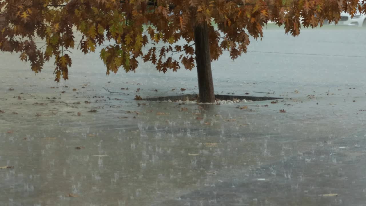 雨点落在地上，背景是橡树。秋天。水平视频素材