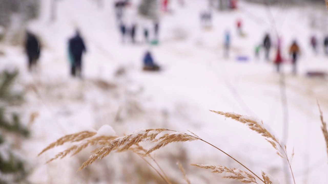 冬天，孩子们坐在散焦的充气雪橇上从山上滑下来。视频素材