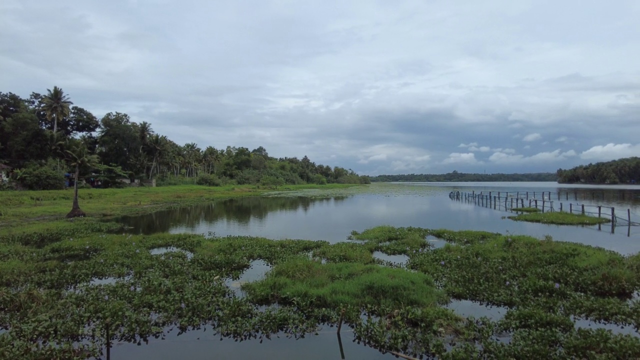 Vellayani淡水湖，Thiruvananthapuram, Kerala视频素材