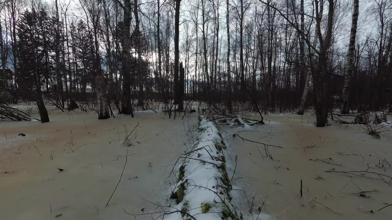 春天的洪水和沼泽森林里的冰，时间流逝视频素材