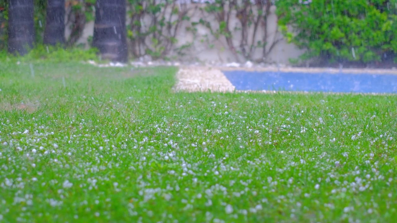 绿色草地上冰雹的慢动作视频。视频素材