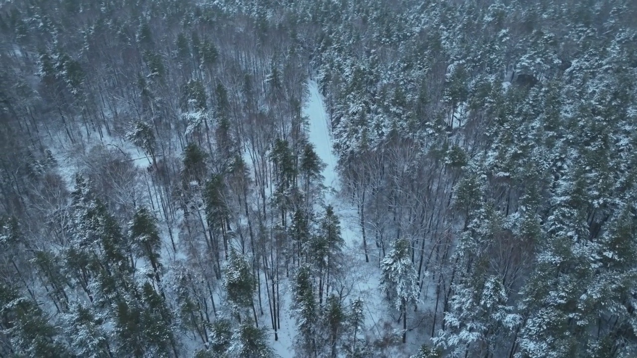 飞越冬天的山脉与道路蜿蜒和松林。自顶向下视图。风景摄影视频素材