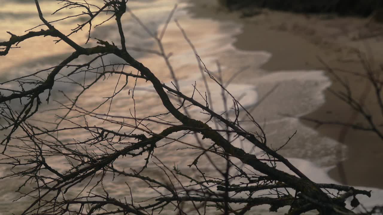 粗糙干燥破碎的裸露的树枝被海浪冲刷在沙滩海岸线上，孤独的女人走在背景上。抽象的抑郁，内心的感受和痛苦的概念镜头。视频素材