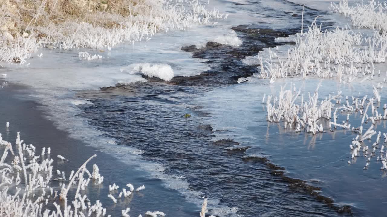 湍急的秋流沿着结冰的河岸流过视频素材