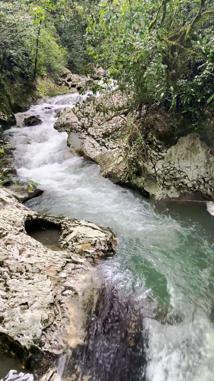 森林瀑布在夏天的一天，在青山绿树之间，清澈的水视频素材