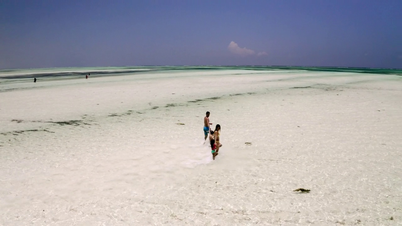 夏日里，幸福的一家人手牵着手，在海里奔跑。视频素材