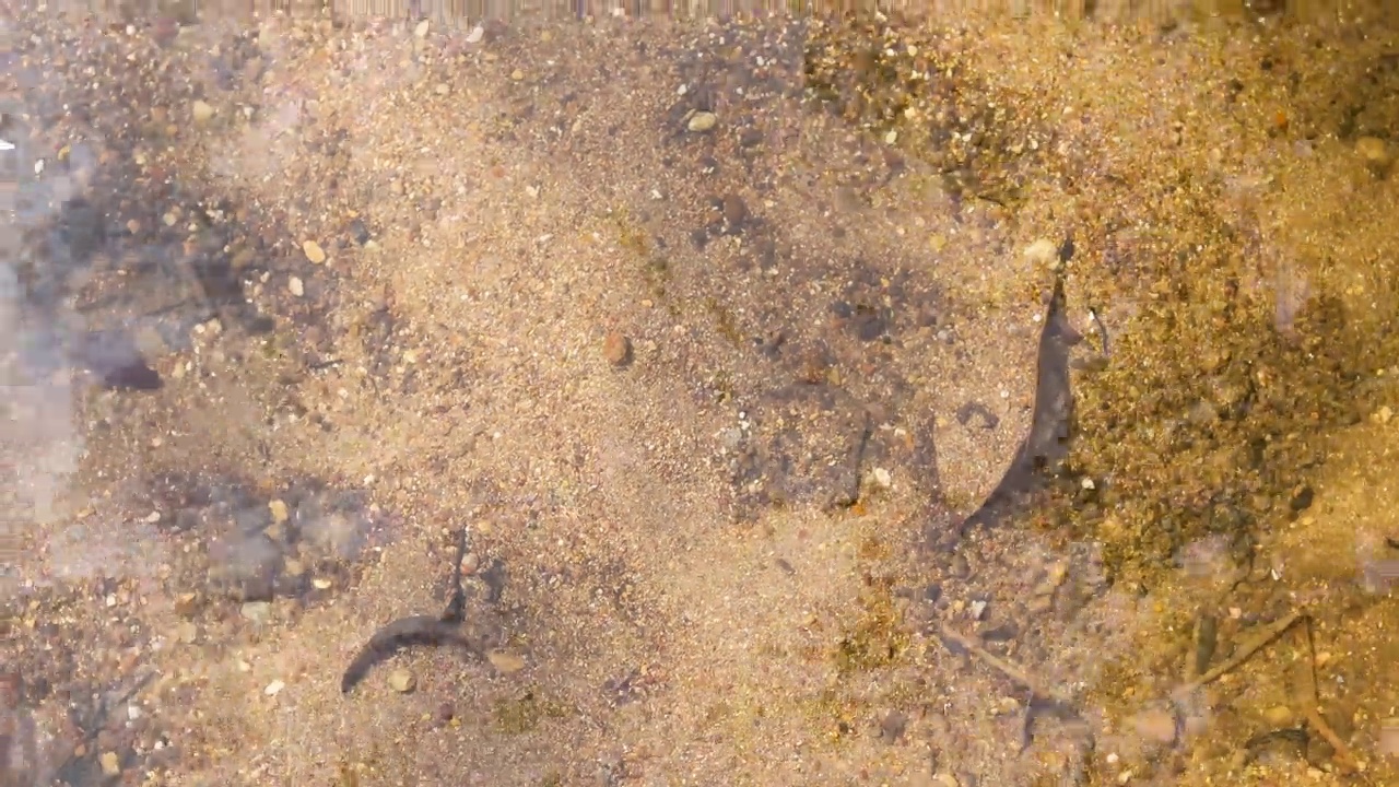 水面溅水背景在河流或湖泊视频素材