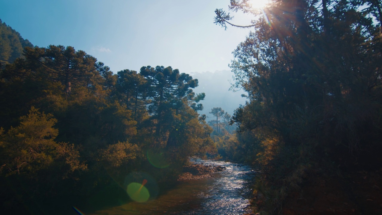 巴西高地上的一条河。景观与佩洛塔斯河和山脉在巴西南部视频素材