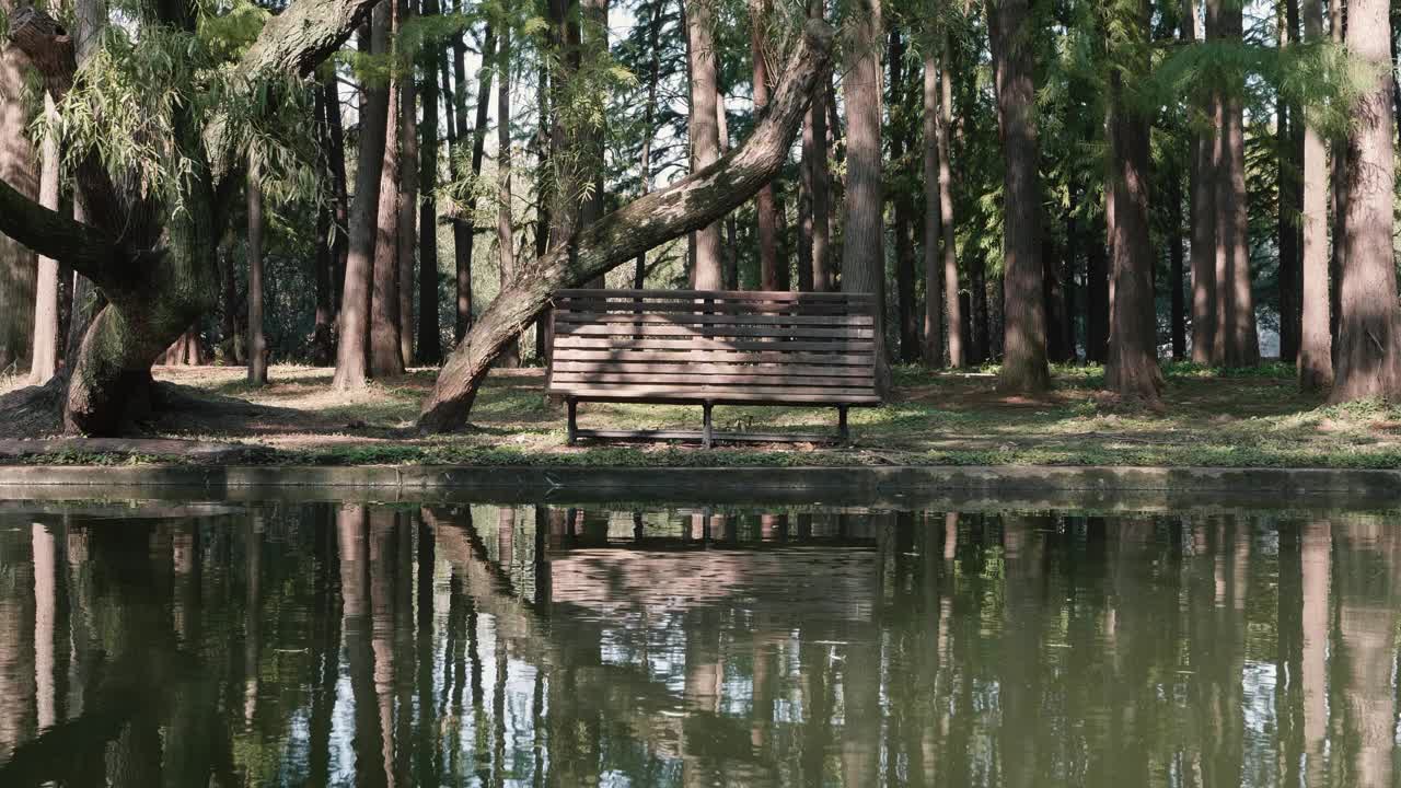 美丽的秋天森林公园的景观，木凳在阳光与倒影在宁静的湖，循环能够4k慢镜头。视频素材