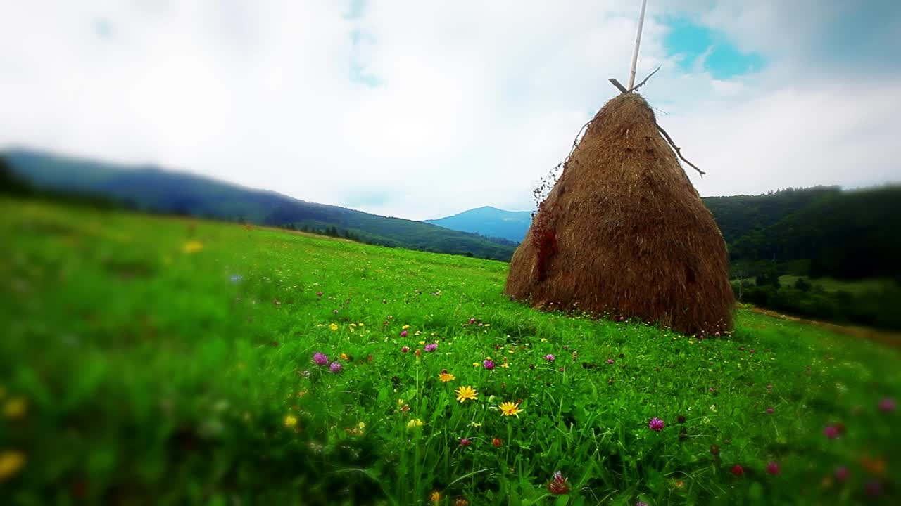 夏季山地景观慢动作视频素材