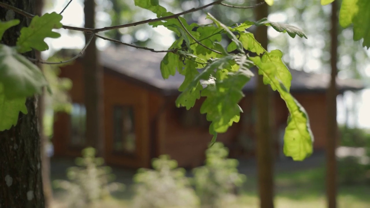 夏日湖滨的避暑小屋视频素材