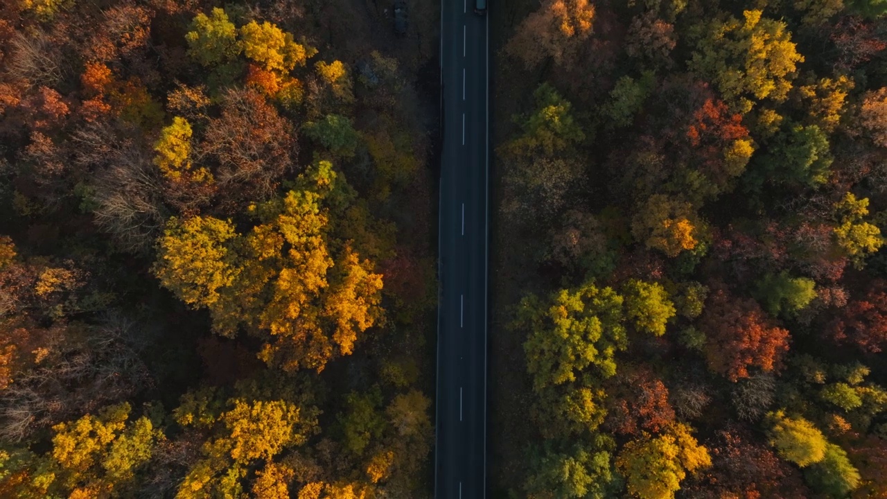 鸟瞰美丽的秋天森林和穿过森林的道路。视频下载