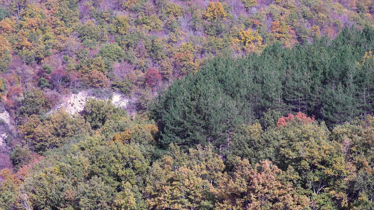 风景秀丽的山，森林景观在秋天与五颜六色的树木视频素材