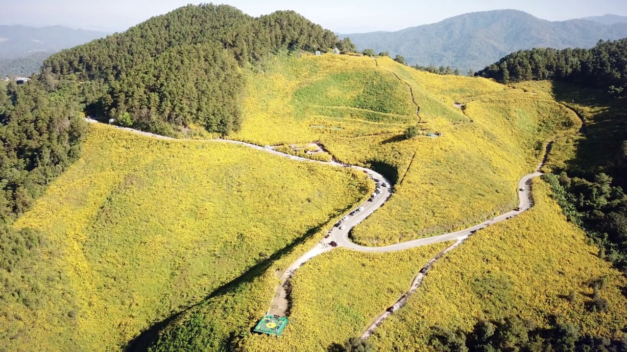 鸟瞰图湄荷谷的布塘花田，泰国湄洪山旅游地标视频下载