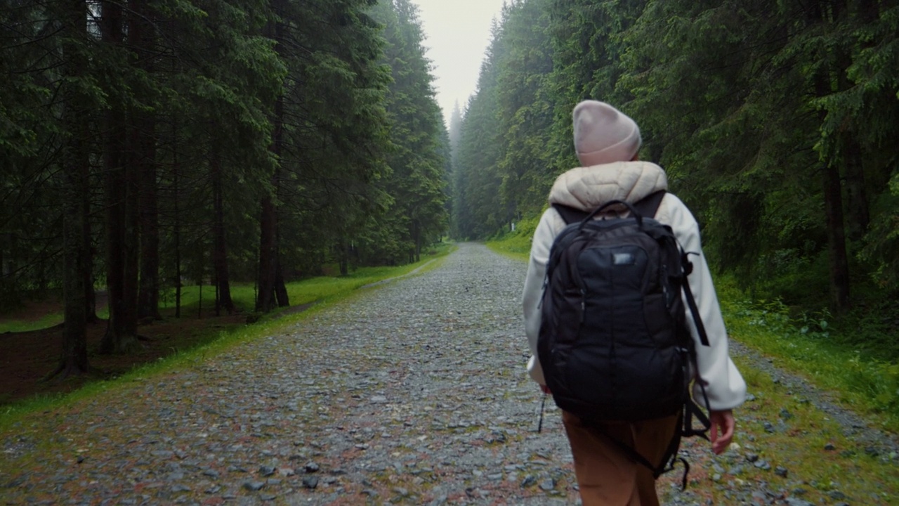 背着背包在森林里徒步旅行的女人的背影。视频素材