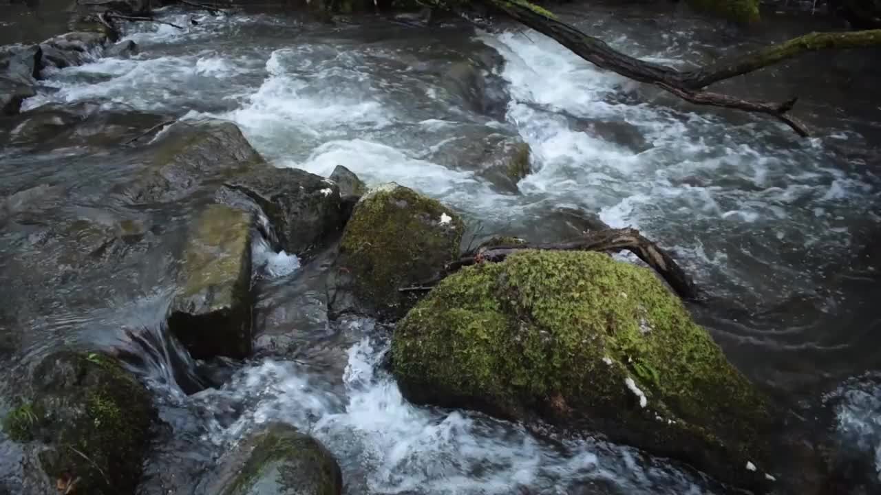 森林里石头之间的强烈水流。水高速下落，产生泡沫视频素材