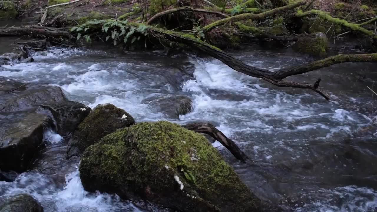 森林里石头之间的强烈水流。水高速下落，产生泡沫视频素材