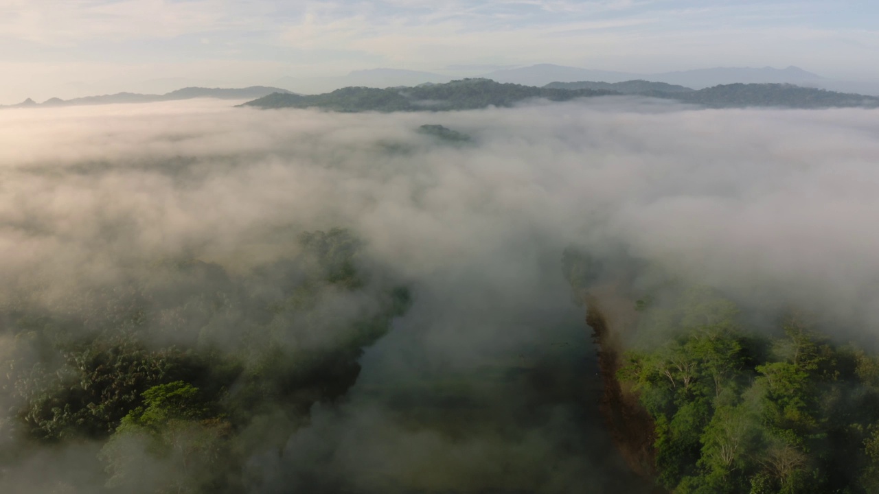 无人机鸟瞰热带雨林河流景观与哥斯达黎加山脉，美丽的迷雾热带丛林风景，高镜头关于气候变化，全球变暖和保护视频素材