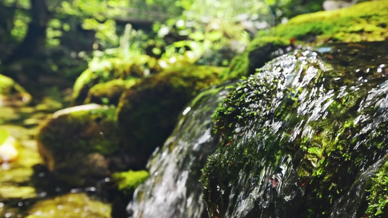 湍急的小溪从长满青苔的岩石上流过视频素材