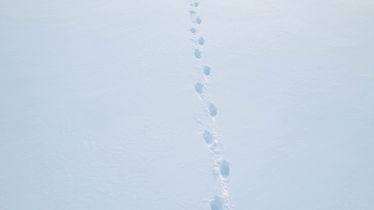 白色的雪地上有人类的脚印视频素材