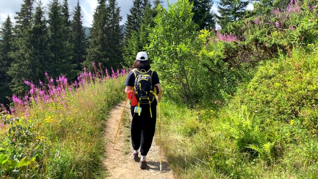 在喀尔巴阡山小径上背着背包的女子徒步旅行者视频素材