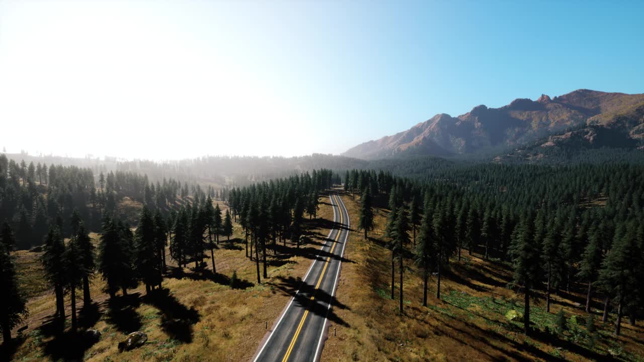 秋季的道路和森林鸟瞰图视频素材