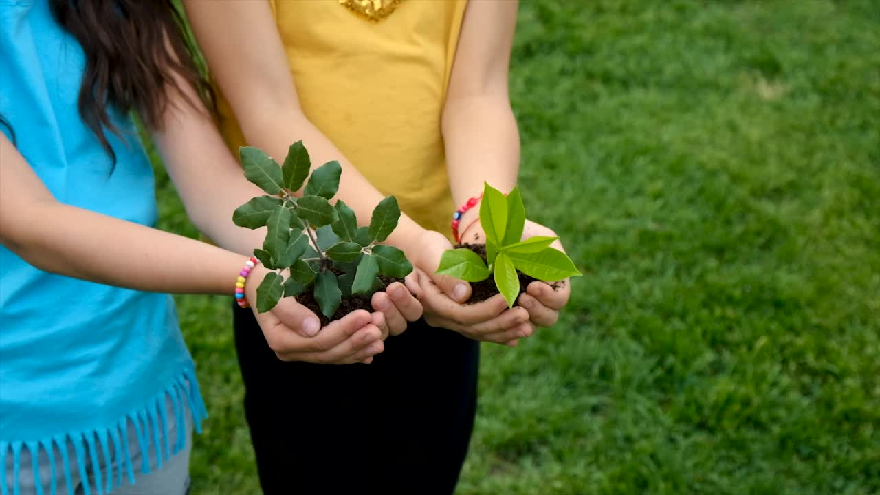 孩子手里拿着植物和土壤。有选择性的重点。孩子。视频素材