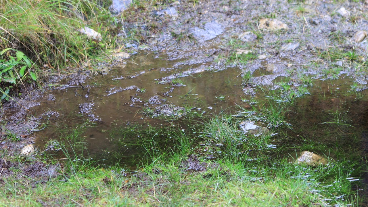 在雨天徒步穿过泥泞的水坑视频素材